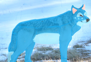 A07518e6-7824-42a4-977b-79cf309f678b (3).png