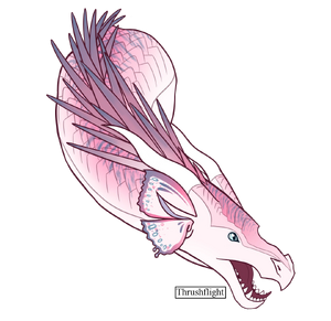 Bez nazvania25 20241222161838.png