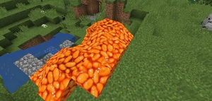 You Got the Beans .jpg