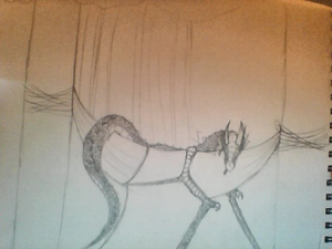 Hammock RainWing!.jpeg