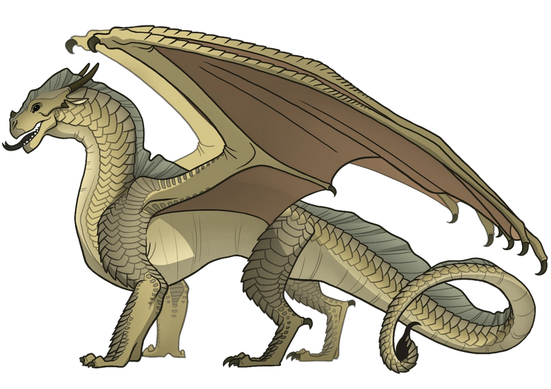 File:Опунций референс.png