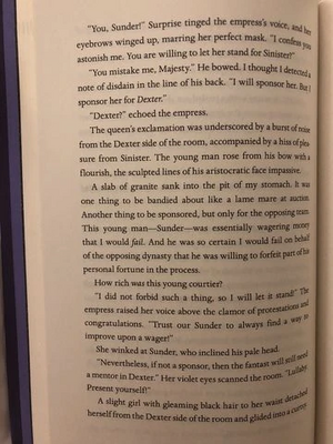 Amber and dusk image.jpg