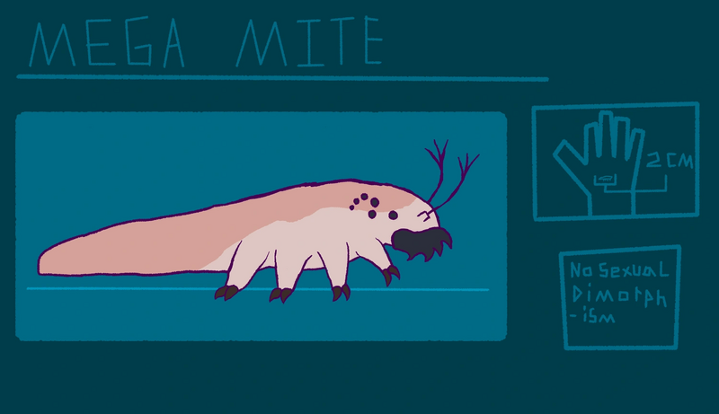 File:Mega mite.png