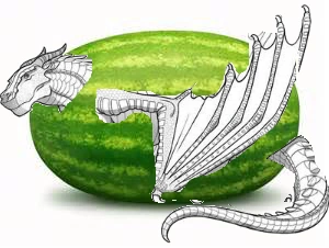 File:YES WATERAY.png