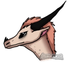 AviWing Headshot for Luster.png