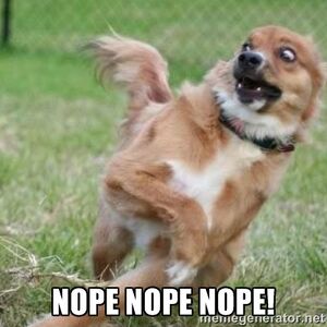 62d827e85012efb167bb67a4d5b0ae19 hurricane-matthew-racing-forums-scared-dog-meme 400-400.jpeg