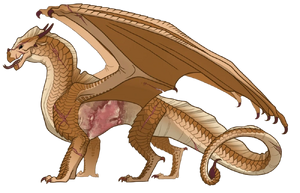 Огонь референс.png