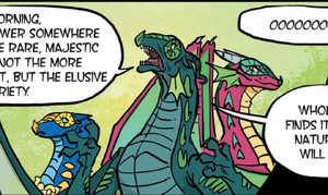 Handsome, Tamarin, and Fruit Bat.jpg