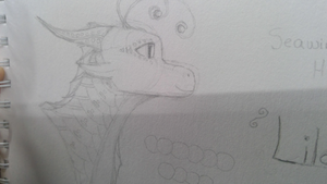 WIN 20200909 09 47 53 Pro.jpg