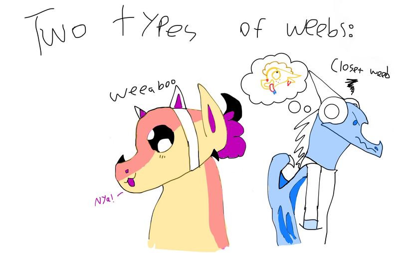 File:AE84E976-5CAA-41EA-89F1-47713FA7B6ADweebs.jpg