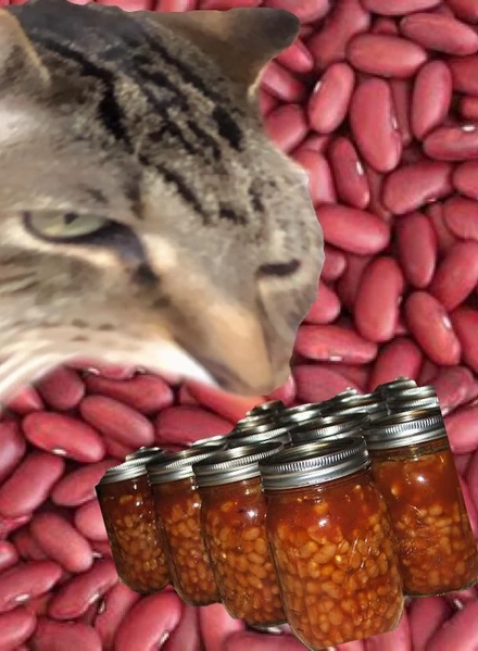 File:Where's the beans bro.jpg