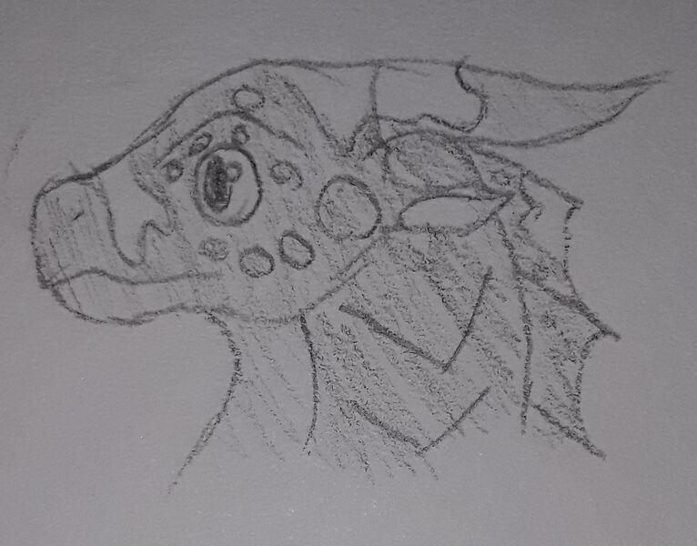 File:20200612 004425.jpg