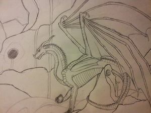 SkyWing fromMT(2).jpg