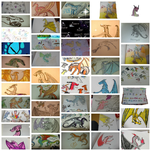 Queen Clam Collage.jpg