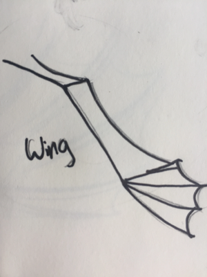 Cavewing’s wing - JelloFish.jpg