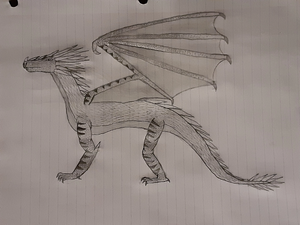 Ariah's Dragon 2.jpg