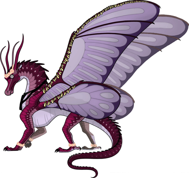 File:Hyacinth by SpaceshipEarth.png