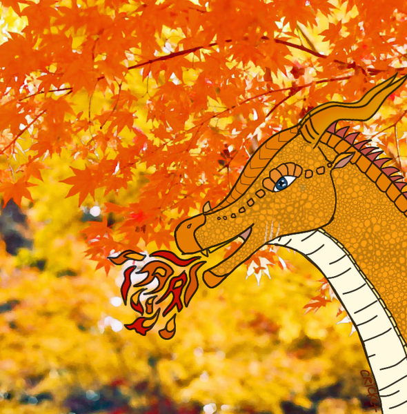 File:20200929 161639.png