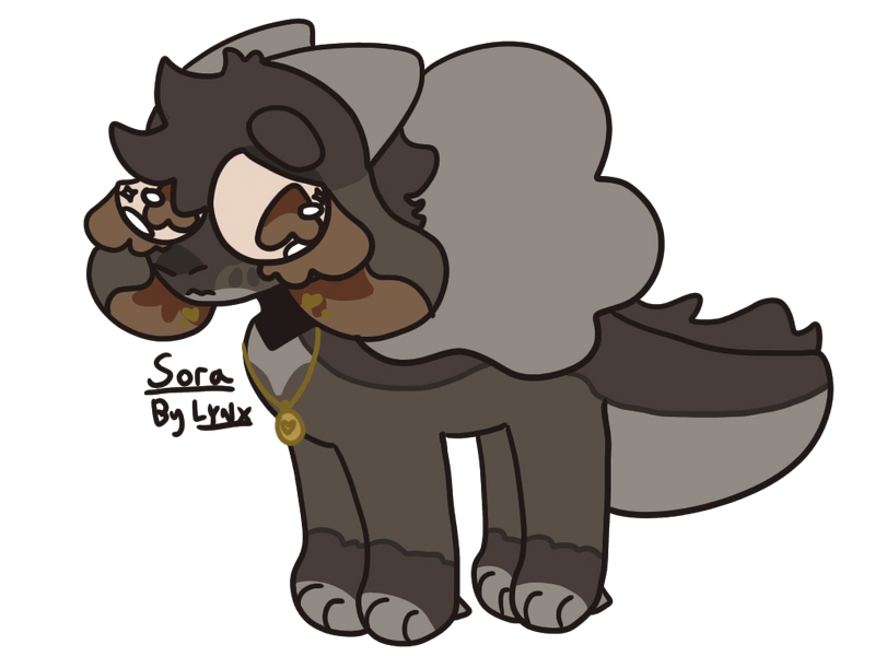 File:Lynx's hc sora.png