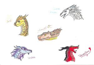 Wings of Fire Characters -2.jpeg