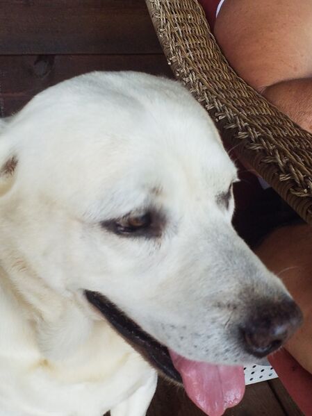 File:20200705 151511.jpg