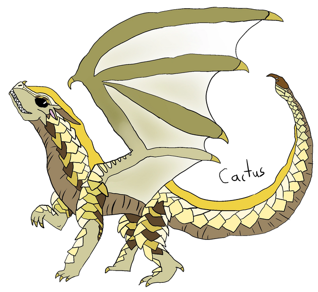 File:Cactus reference by ponyo.png