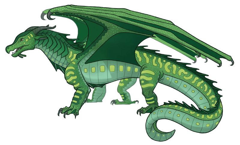 File:Саргасс референс.png