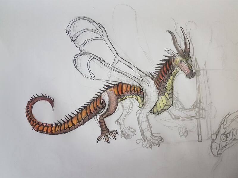 File:20200617 144638.jpg