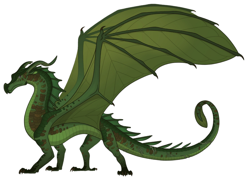 File:Секвойя референс.png