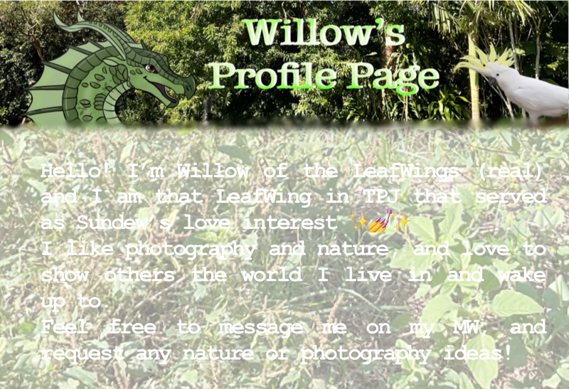 File:Willow’s PFP Introduction light.png