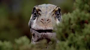 File:Utahraptor face.jpg
