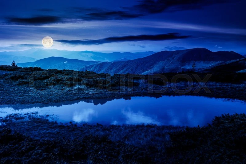 File:800px COLOURBOX54757754.jpg