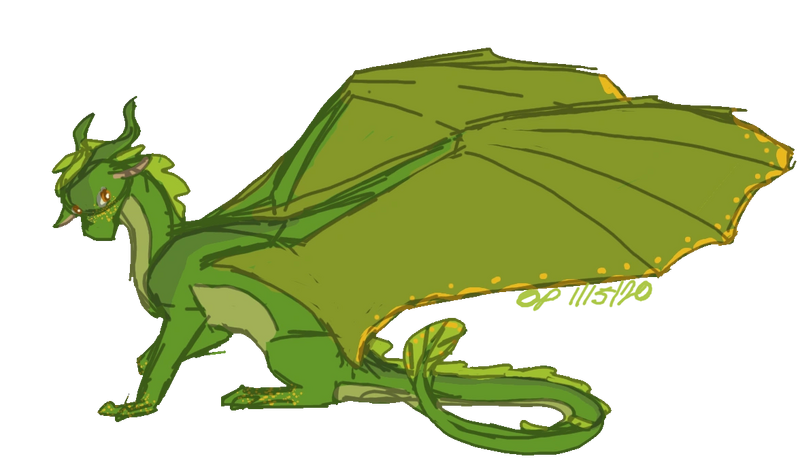 File:Another sundew.png