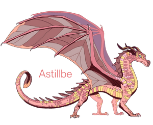 Astillbe reference by aprilsilverwolf-dcarkpr.png