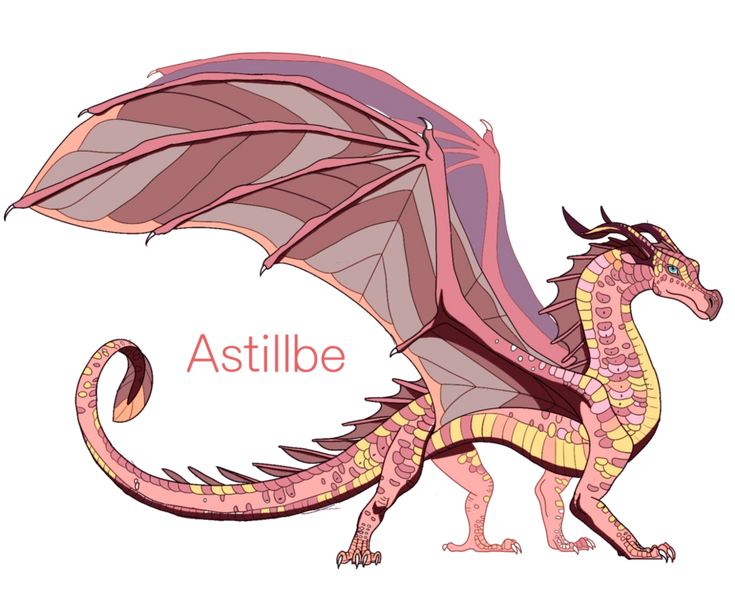 File:Astillbe reference by aprilsilverwolf-dcarkpr.png
