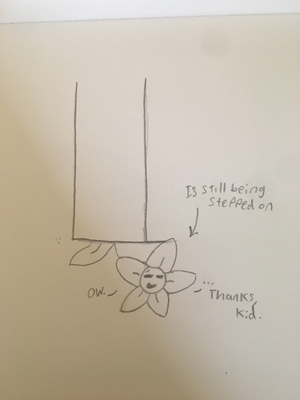 Ydhdueif bdimage.jpg