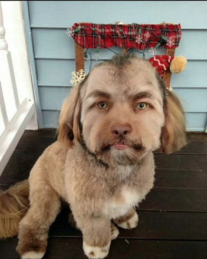 Don't Ask Where i got this from .jpg