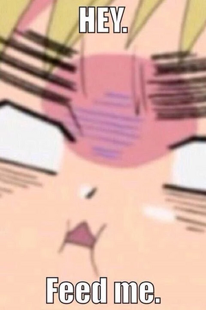 Feedme.jpg