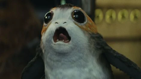 File:Porg.jpg