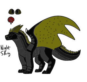 A night-sky hyrbid oc thats unnamed.png