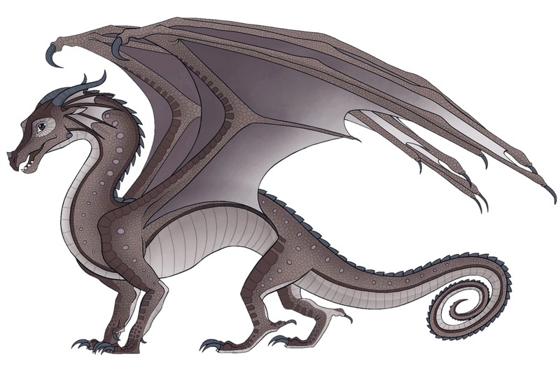 File:Тапир референс.png