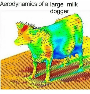 Aerodynamics-of-a-large-milk-dogger-5512515.png