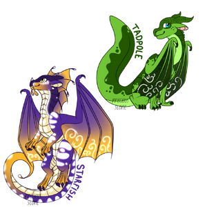 Kinkajou s and turtle s dragonets by justsayo de5h765-fullview.png