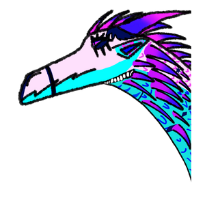 Maximus- Headshot for DellyBelly.webp