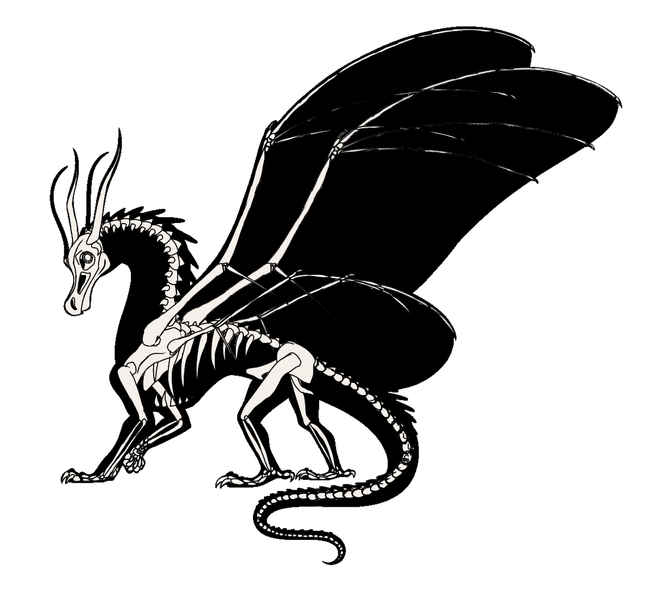 File:Anatomy is strange.png