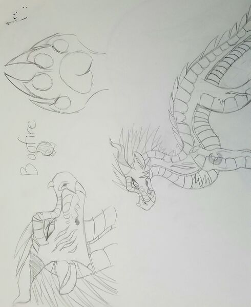 File:20200910 175630.jpg