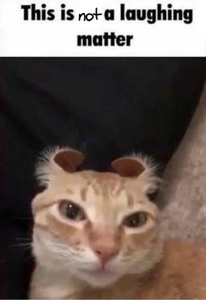 This is not a laughing matterš .png