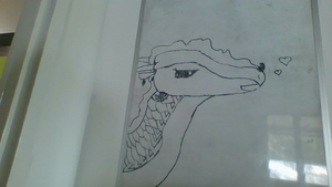 Without Talon-SandWing.jpg