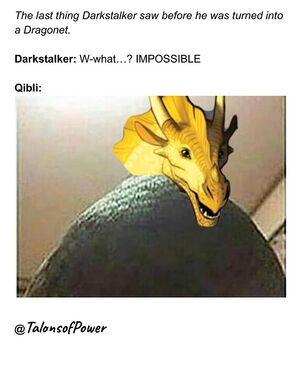 35998518 279531382618247 6603976138492477440 n.jpg