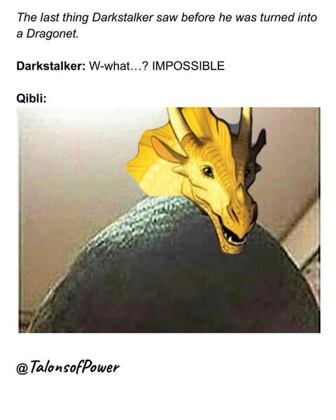 File:35998518 279531382618247 6603976138492477440 n.jpg